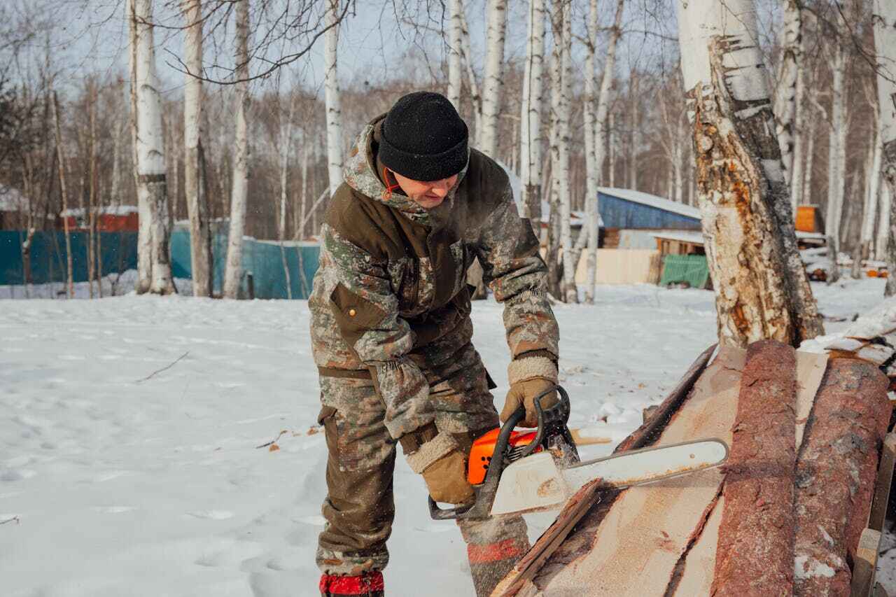 Tree Removal for Businesses in Lower Lake, CA